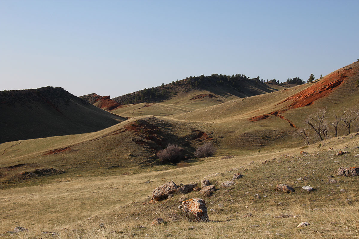 Bull Creek Ranch property picture 6 of 16