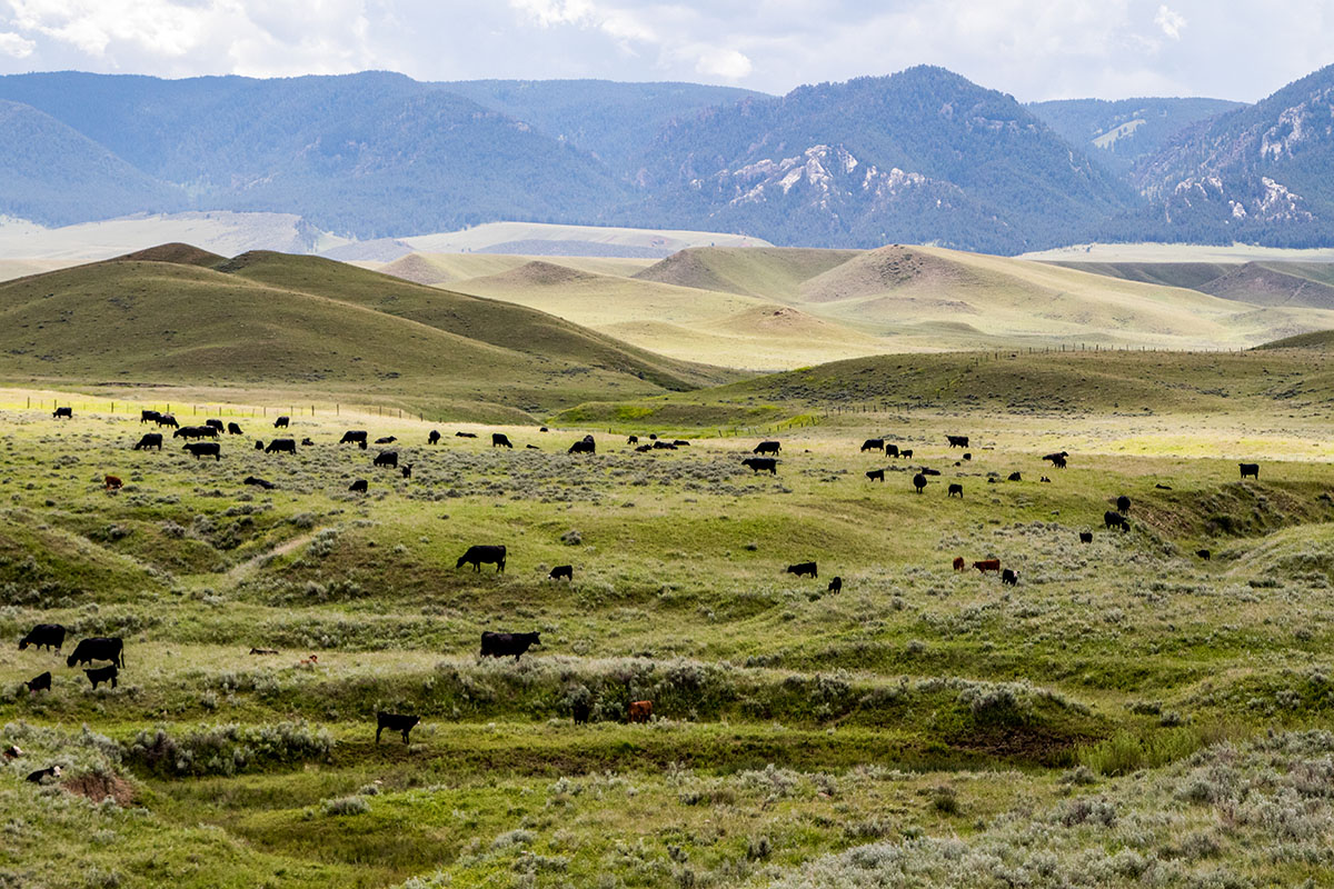 Bull Creek Ranch property picture 10 of 16