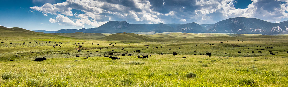 Bull Creek Ranch property picture 11 of 16