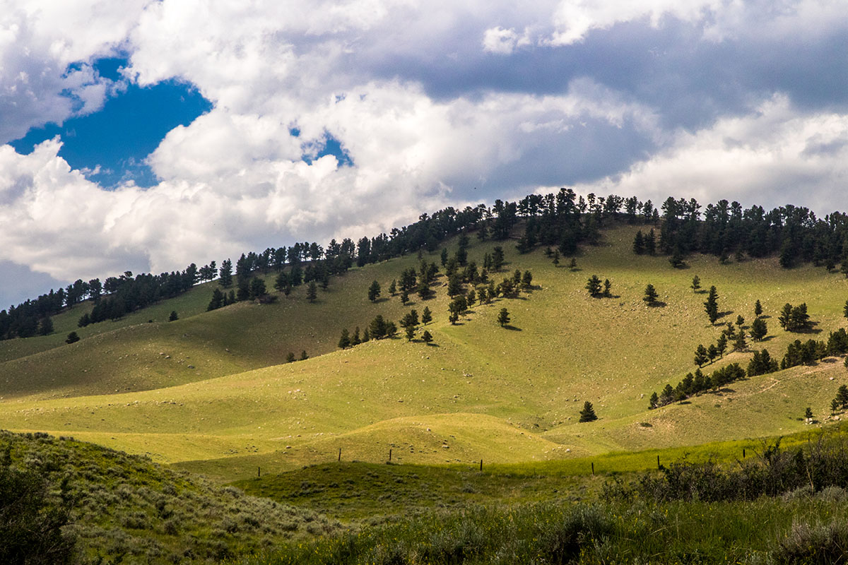 Bull Creek Ranch property picture 13 of 16