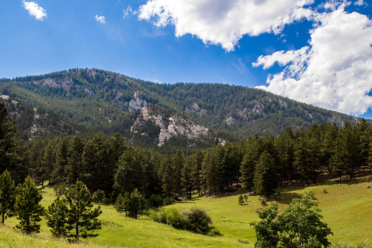 Bull Creek Ranch property picture 14 of 16