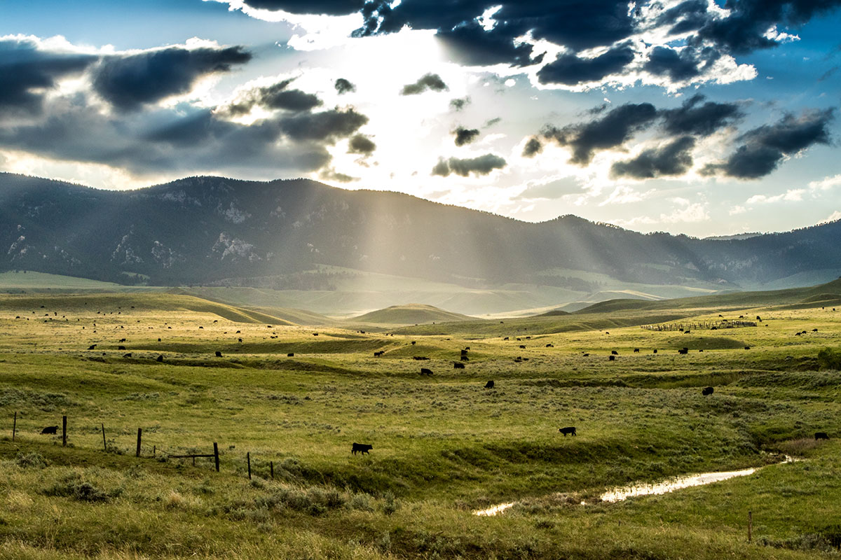 Bull Creek Ranch property picture 3 of 16