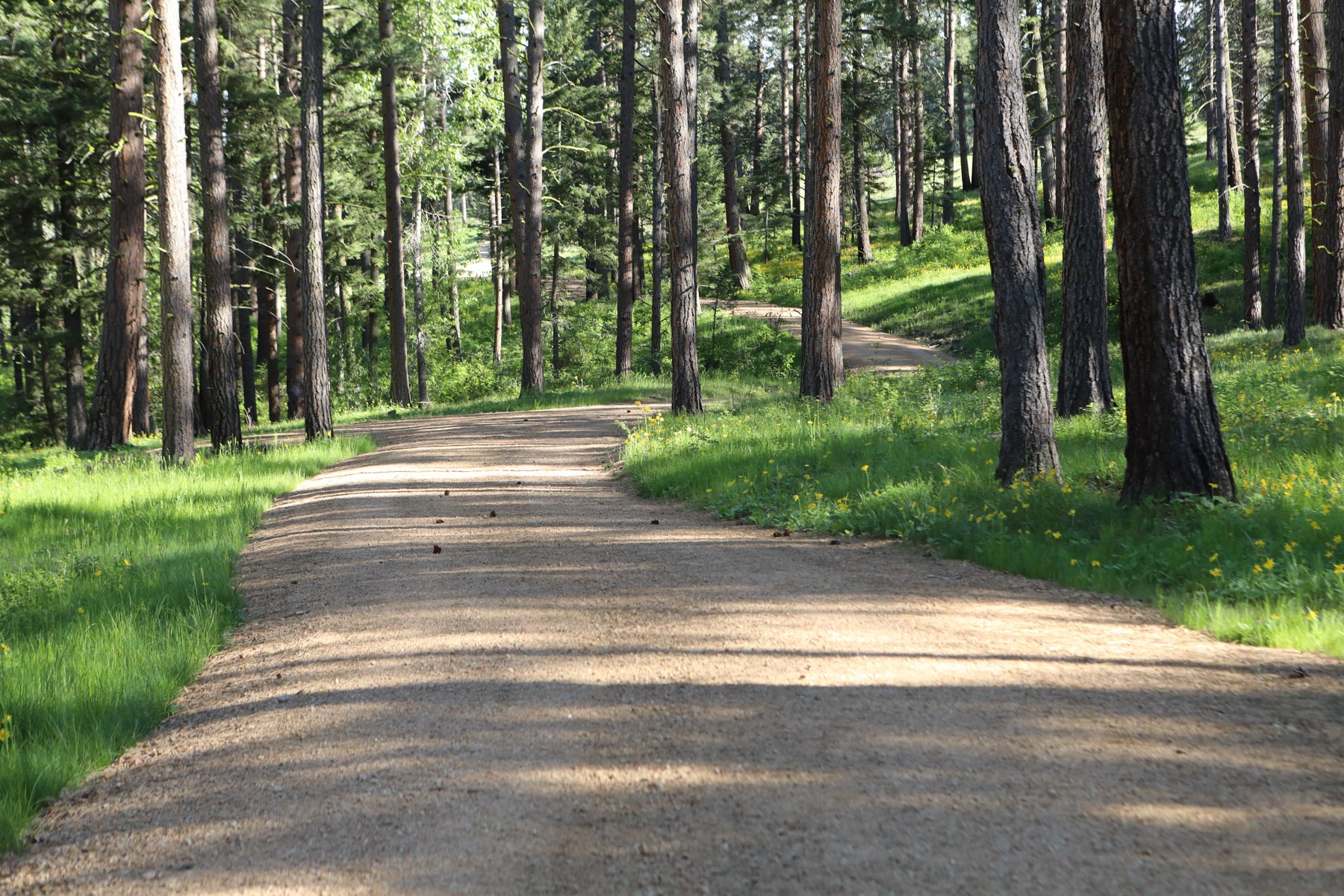 One Horse Creek Ranch property picture 104 of 119
