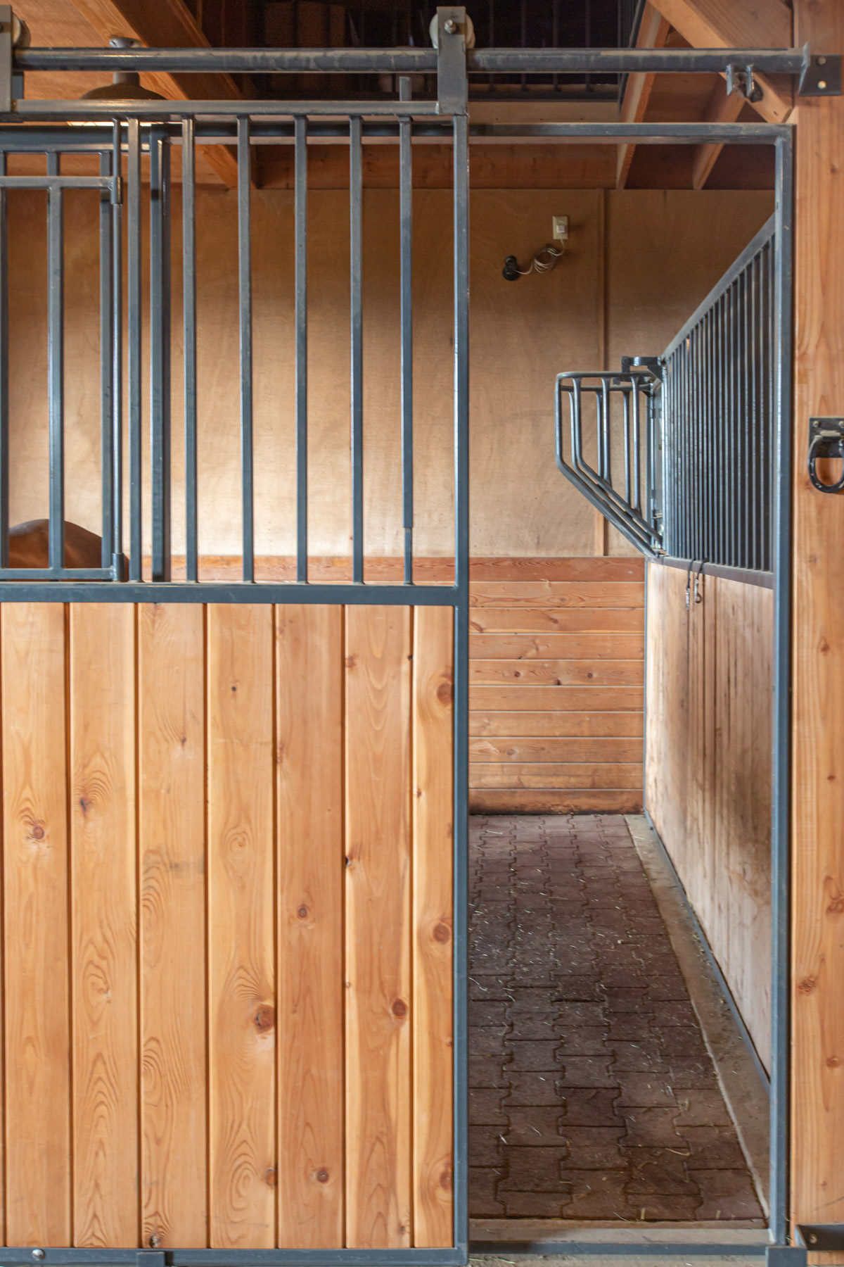 One Horse Creek Ranch property picture 115 of 119