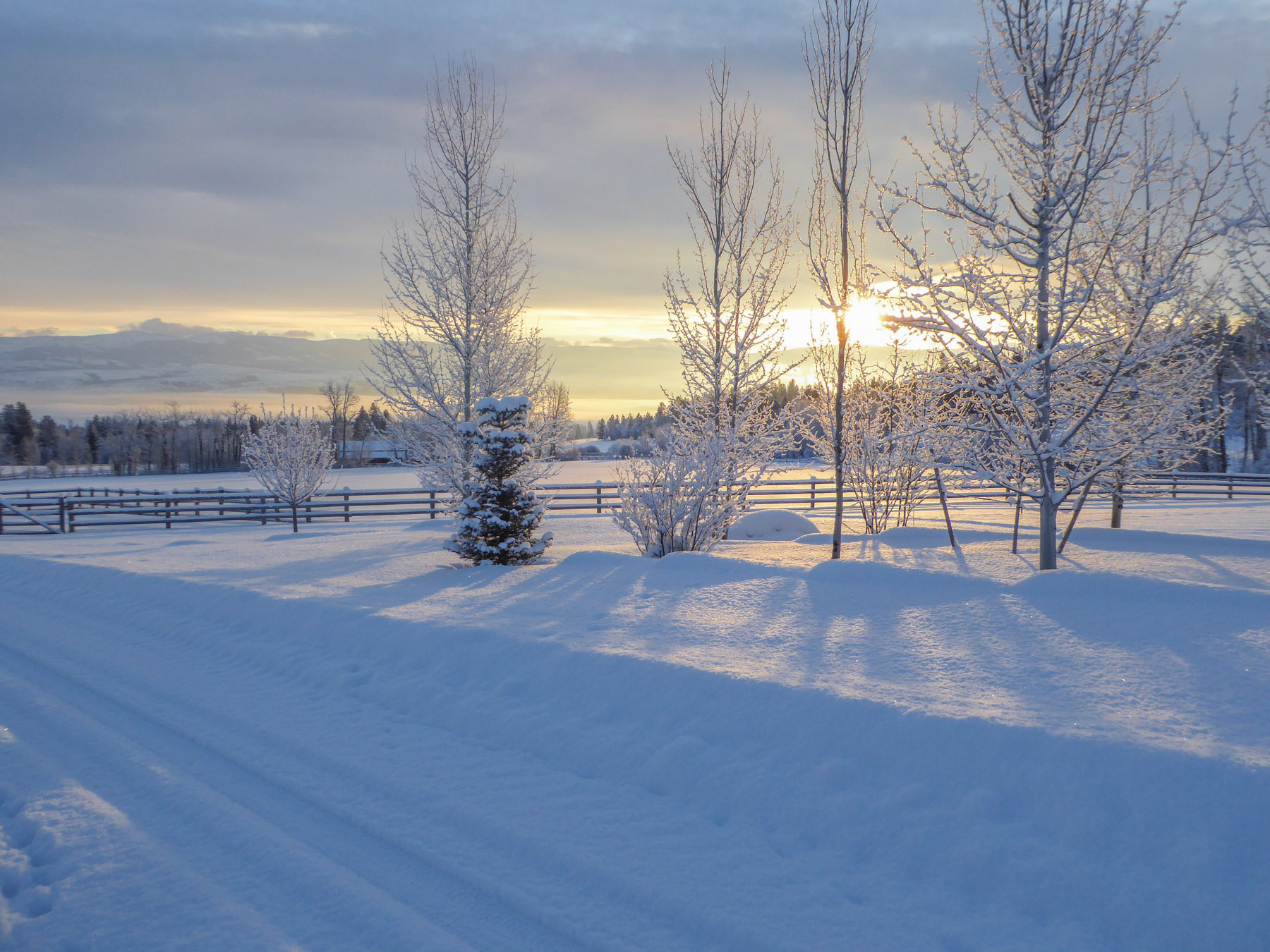 One Horse Creek Ranch property picture 86 of 119