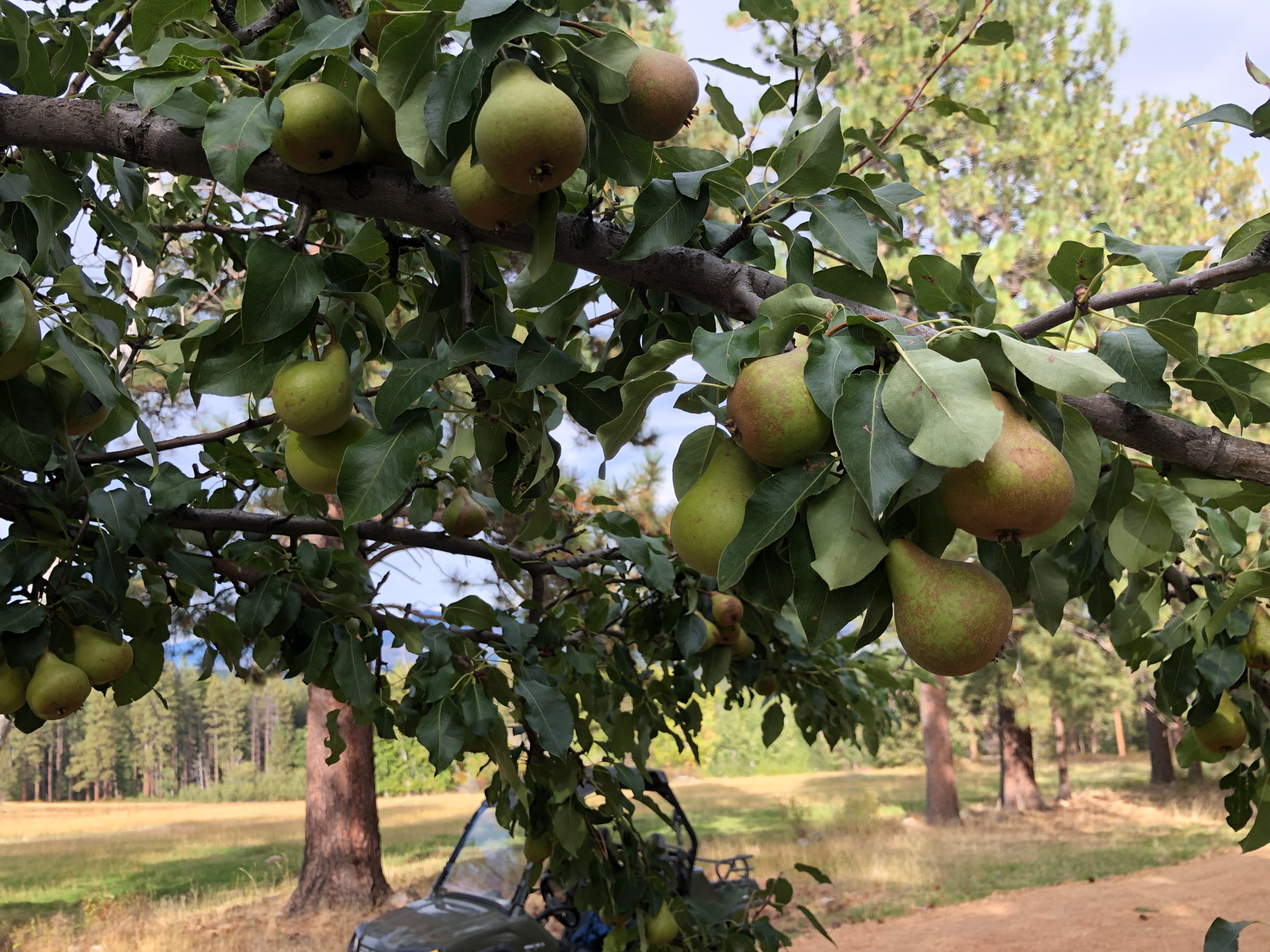 One Horse Creek Ranch property picture 77 of 119