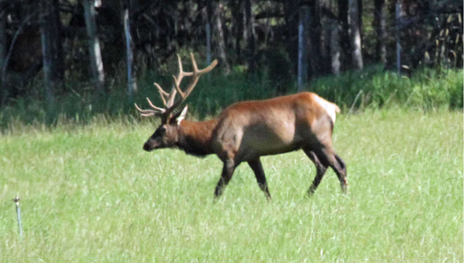 One Horse Creek Ranch property picture 55 of 119