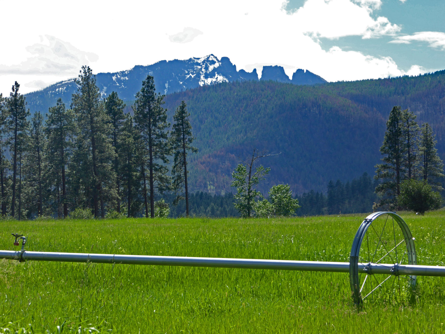 One Horse Creek Ranch property picture 2 of 119