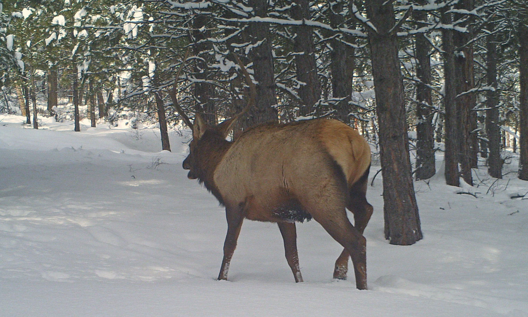 One Horse Creek Ranch property picture 62 of 119