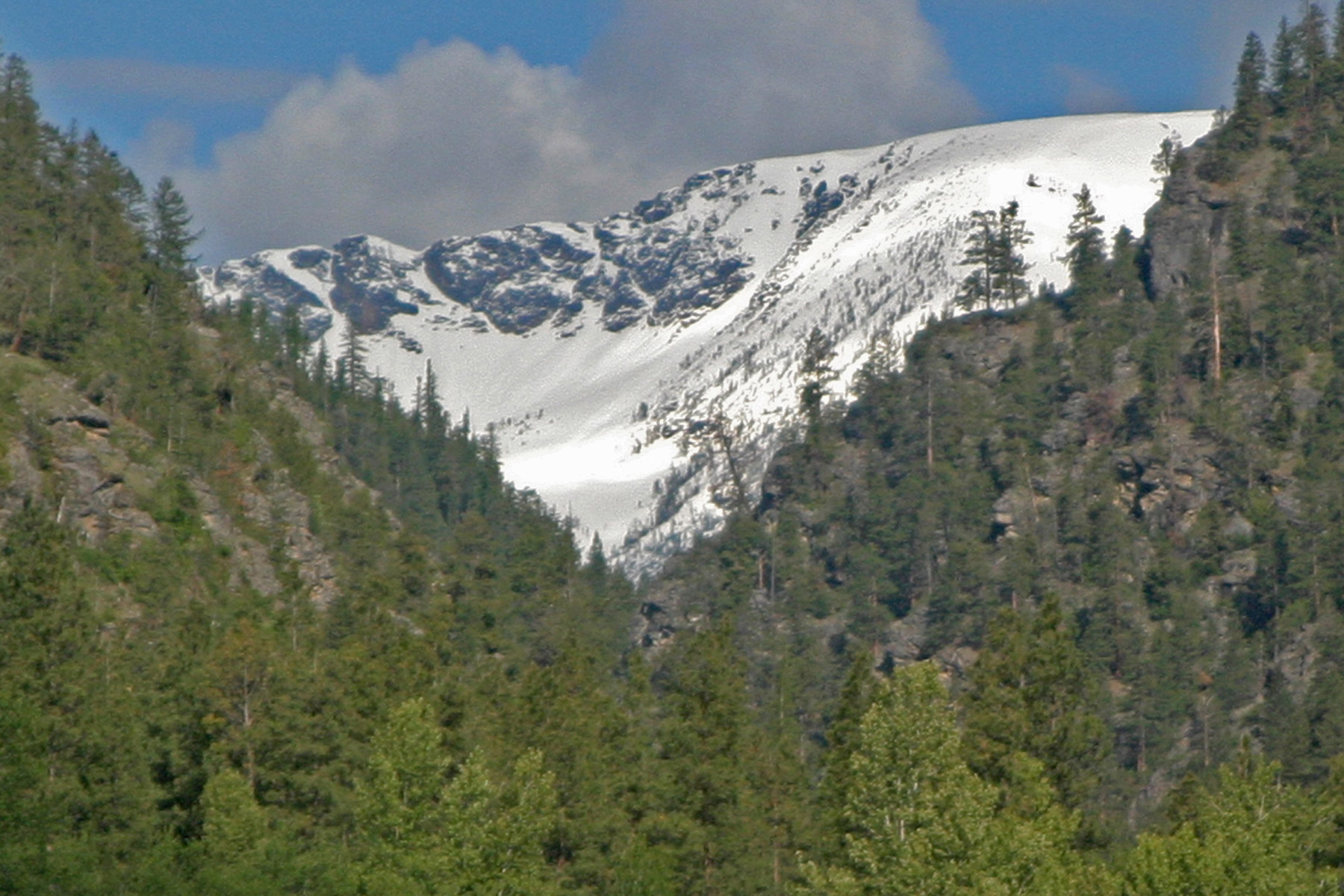One Horse Creek Ranch property picture 87 of 119