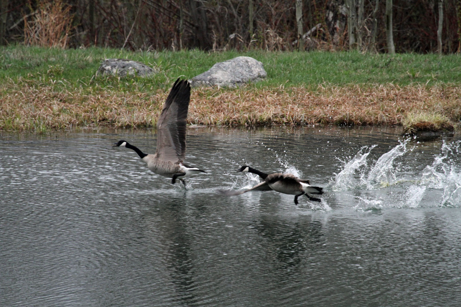 One Horse Creek Ranch property picture 56 of 119