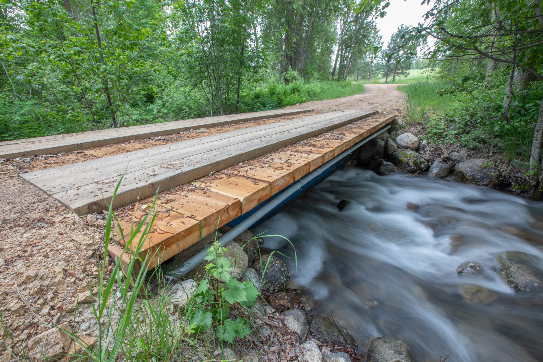 One Horse Creek Ranch property picture 38 of 119