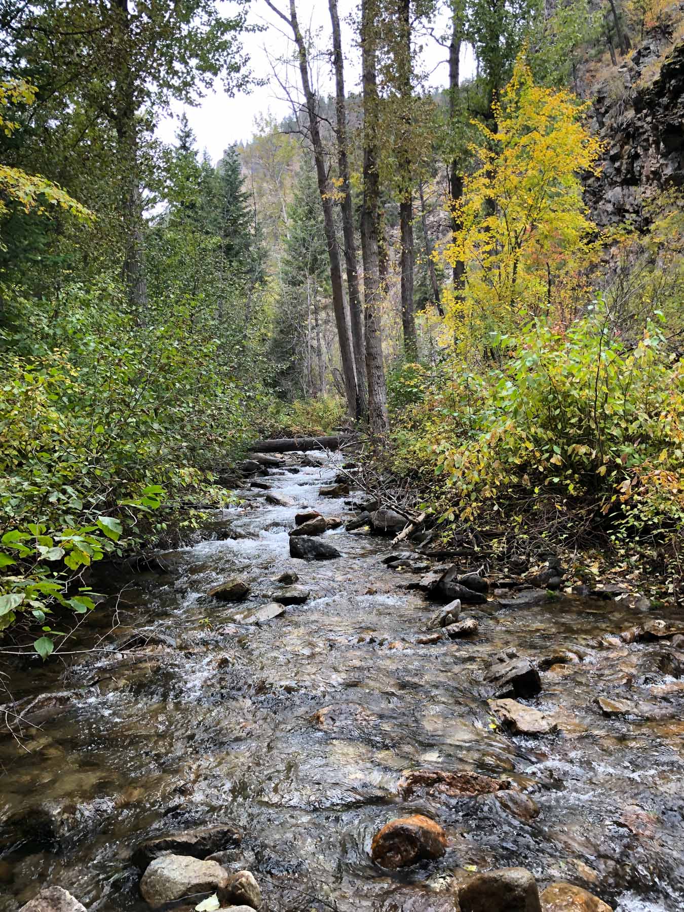 One Horse Creek Ranch property picture 79 of 119