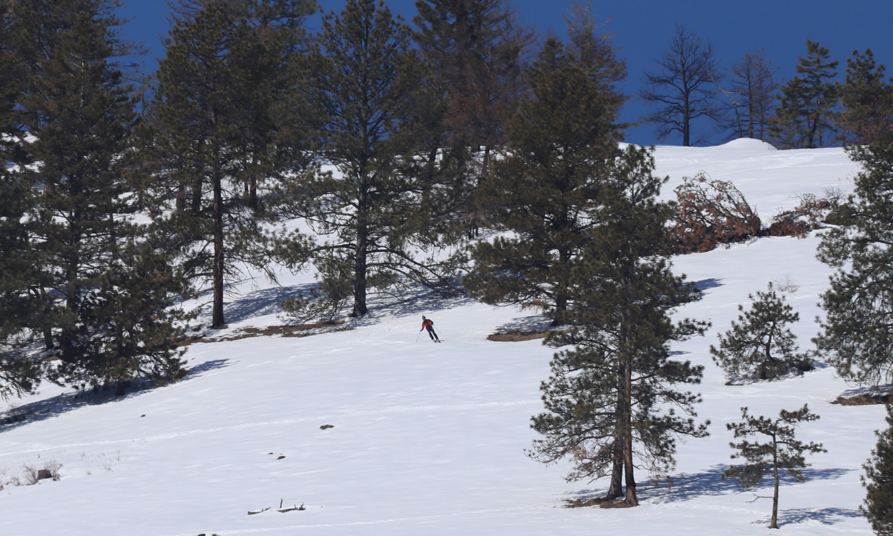 One Horse Creek Ranch property picture 84 of 119