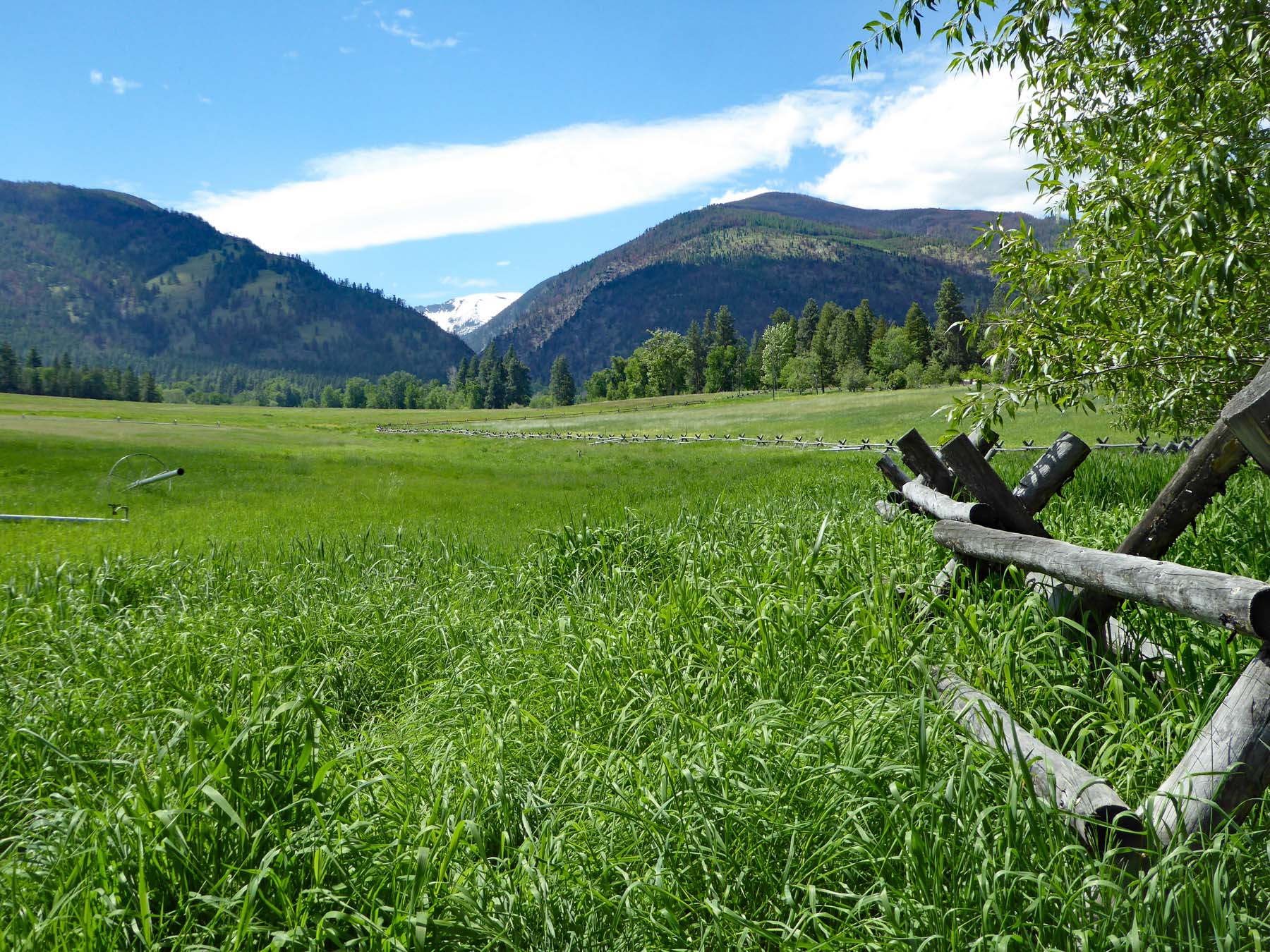 One Horse Creek Ranch property picture 117 of 119