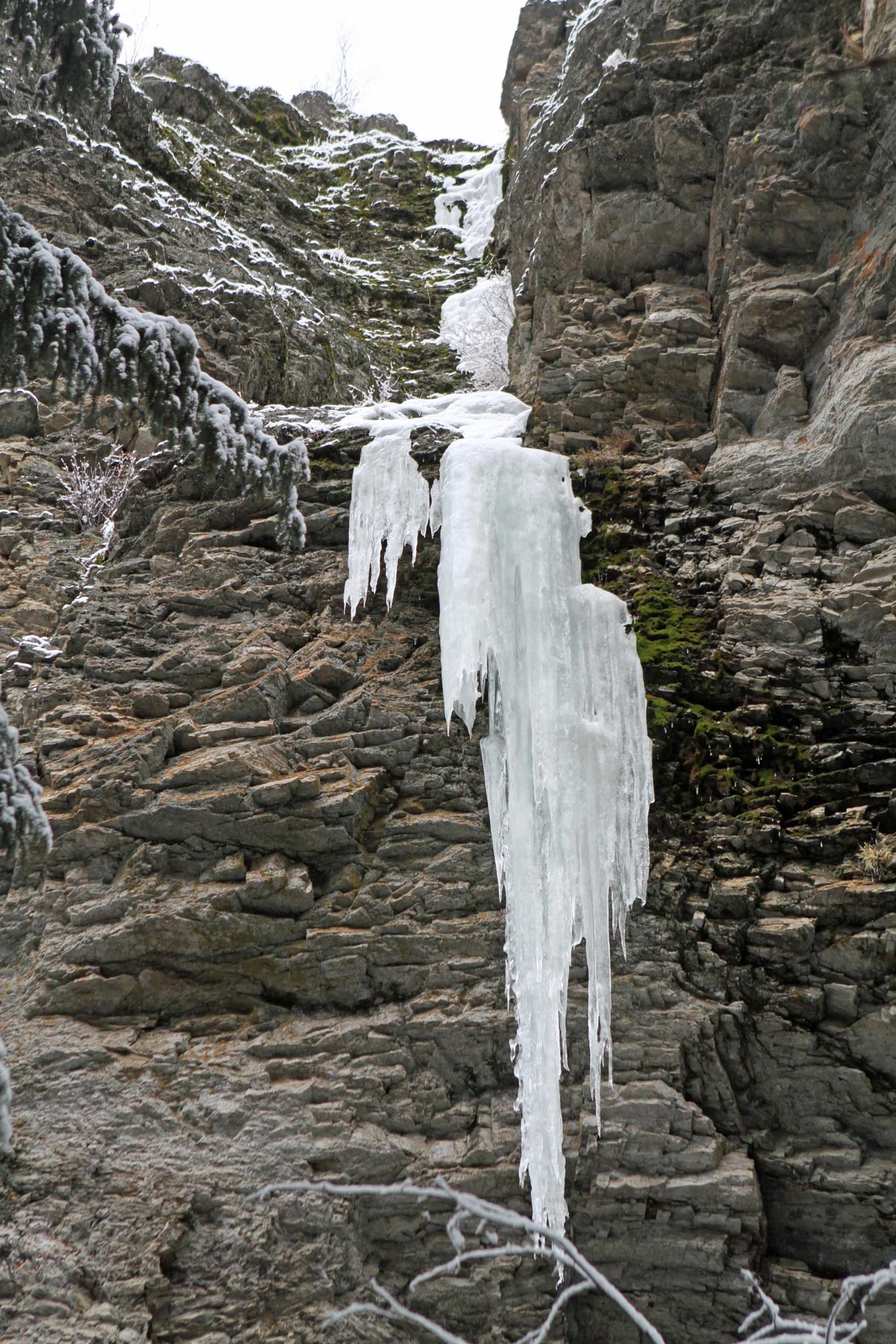 One Horse Creek Ranch property picture 118 of 119