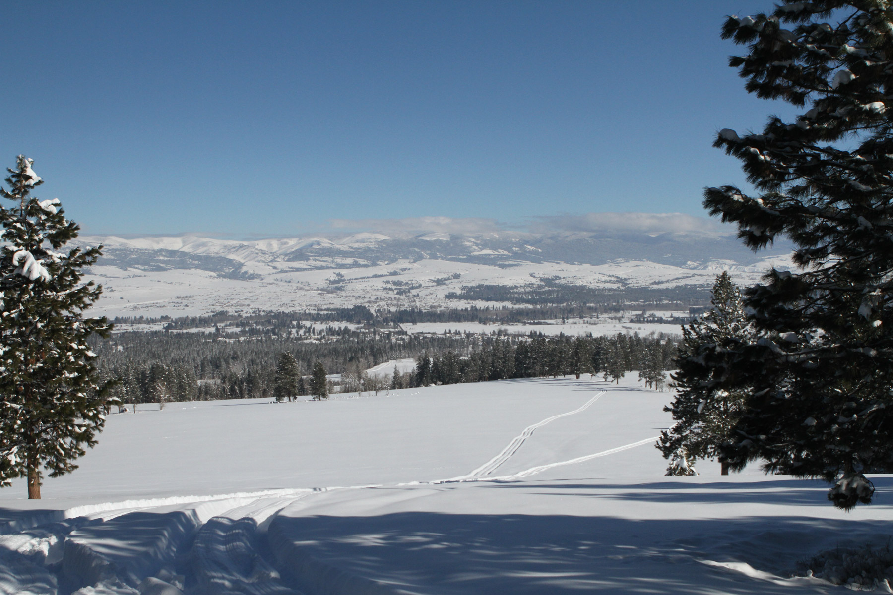 One Horse Creek Ranch property picture 85 of 119