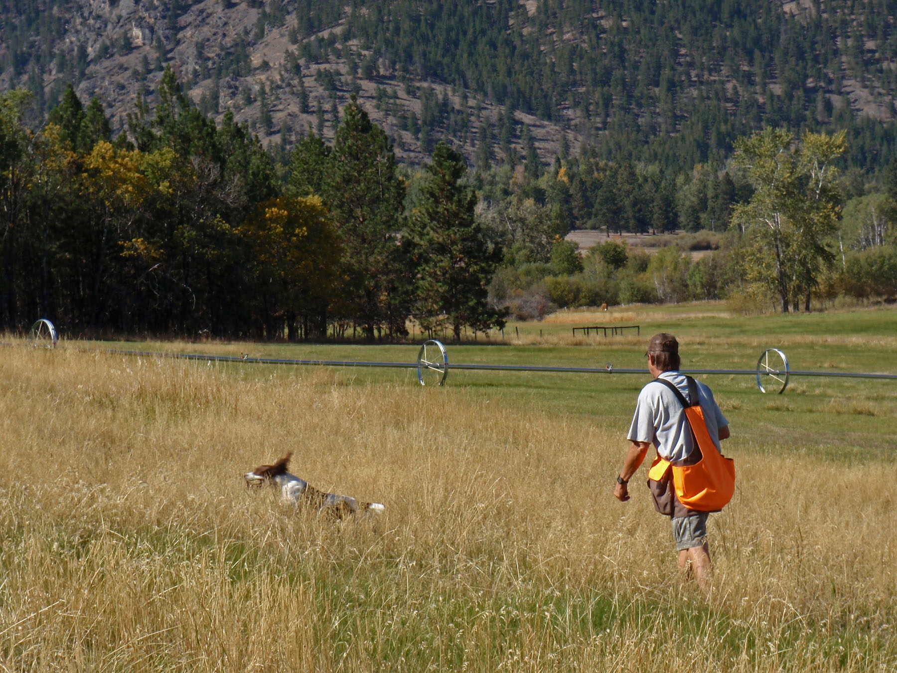 One Horse Creek Ranch property picture 101 of 119