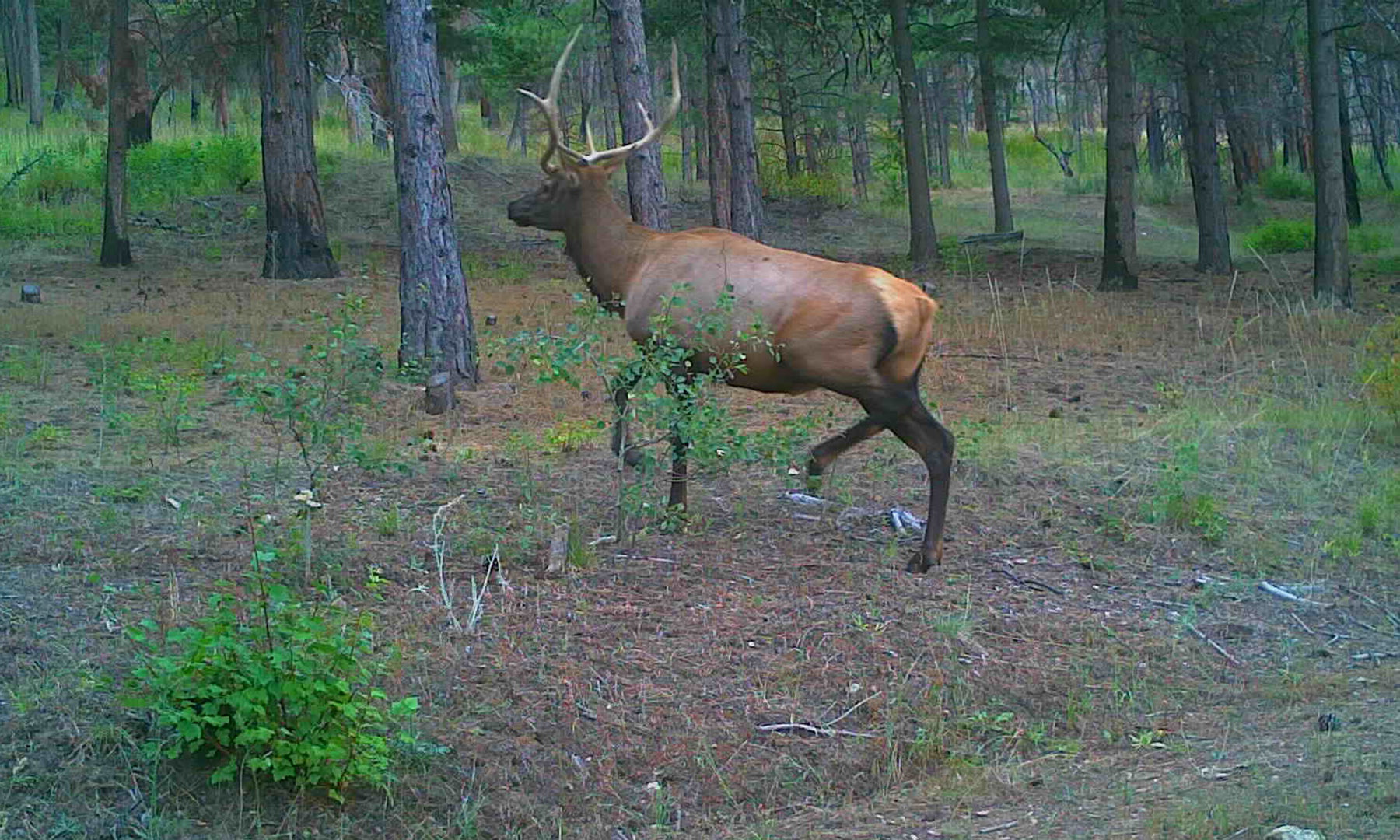 One Horse Creek Ranch property picture 4 of 119
