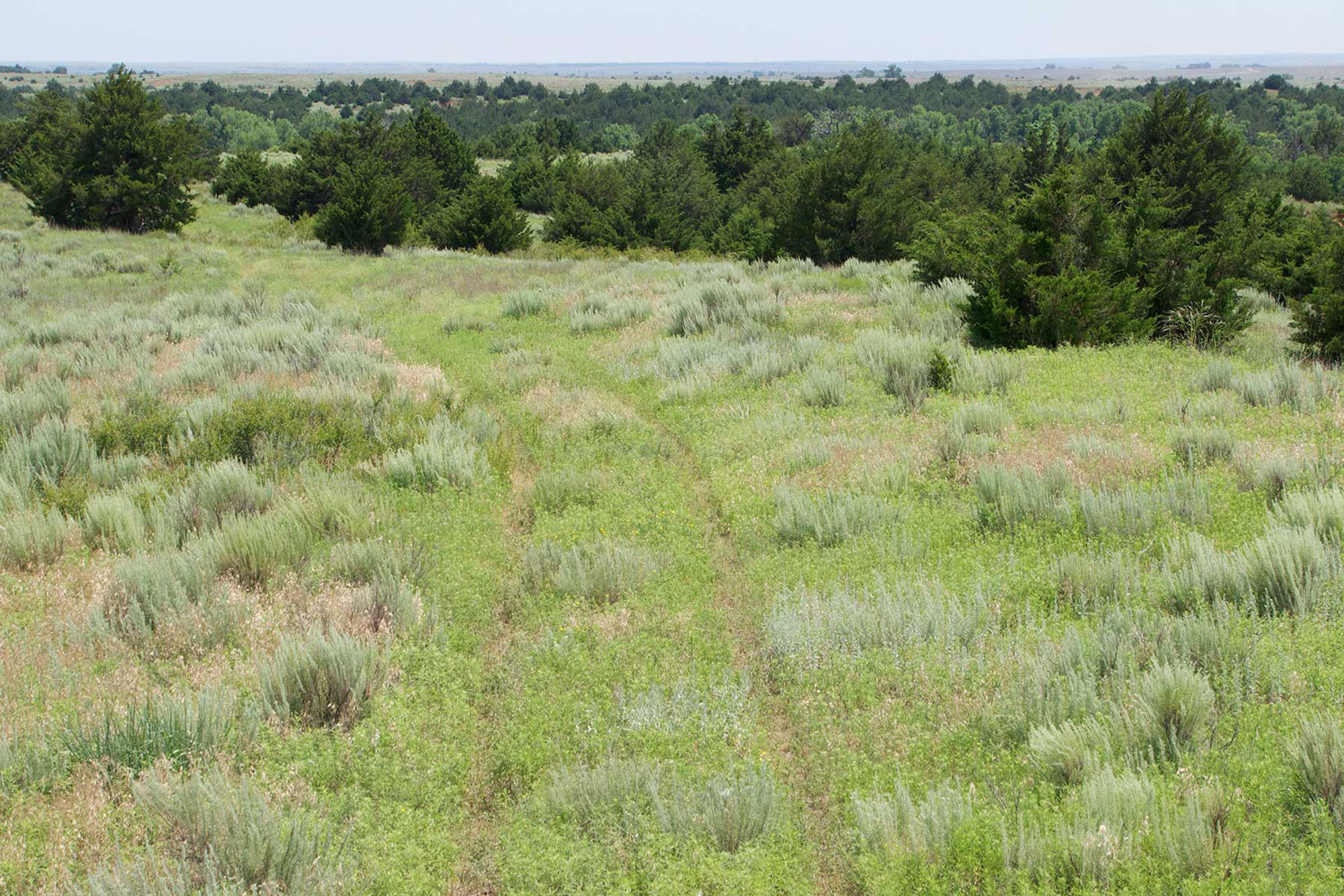 9,078 Acres in Kansas & Oklahoma property picture 13 of 14