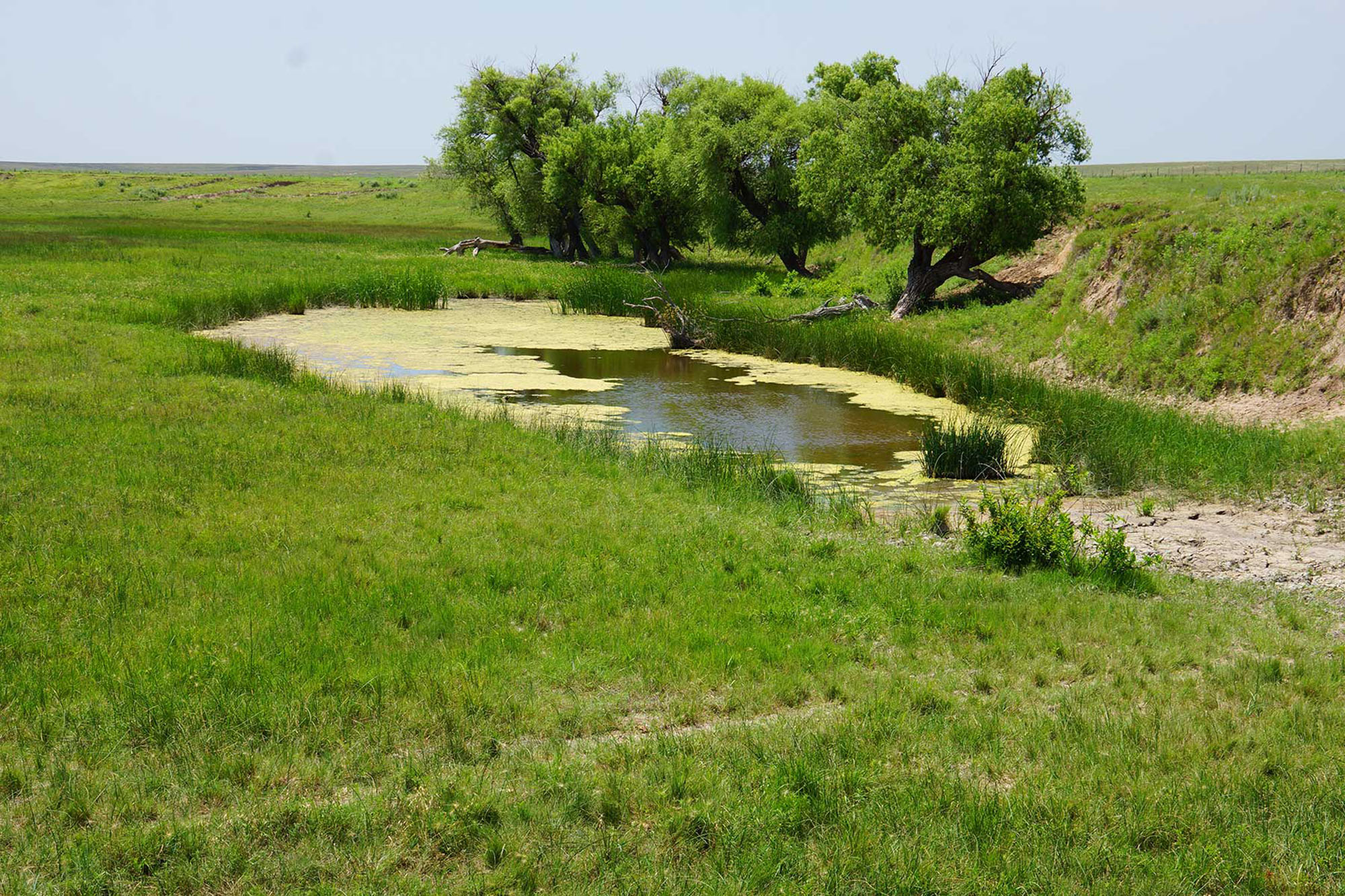 9,078 Acres in Kansas & Oklahoma property picture 14 of 14