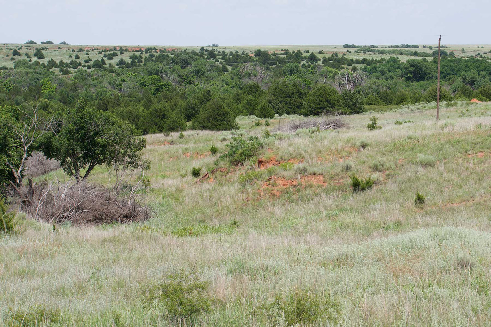 9,078 Acres in Kansas & Oklahoma property picture 10 of 14