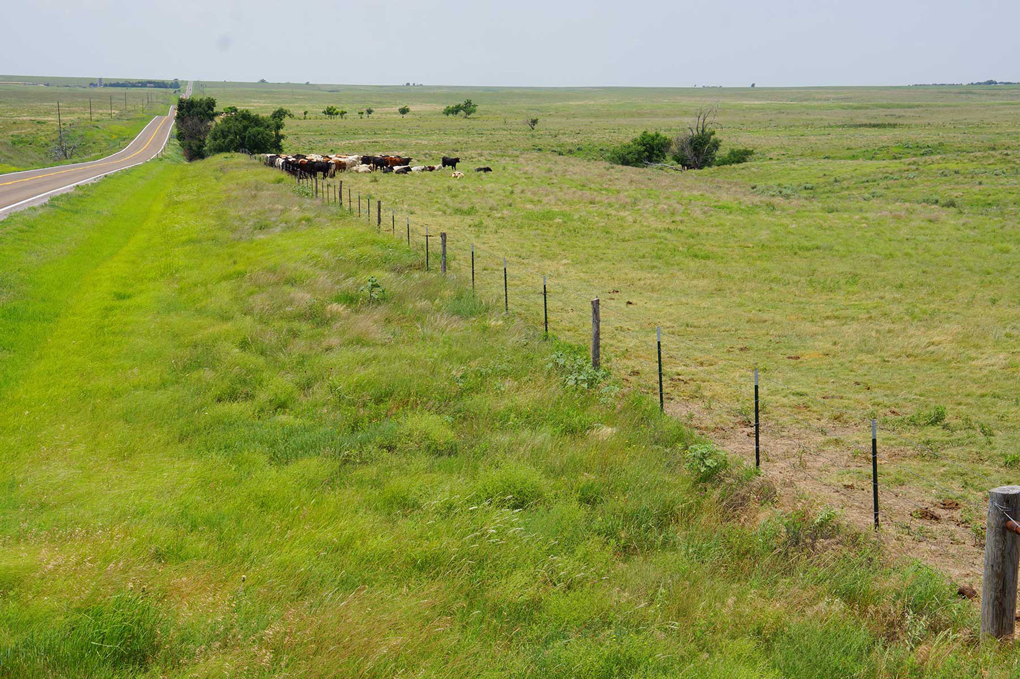 9,078 Acres in Kansas & Oklahoma property picture 7 of 14