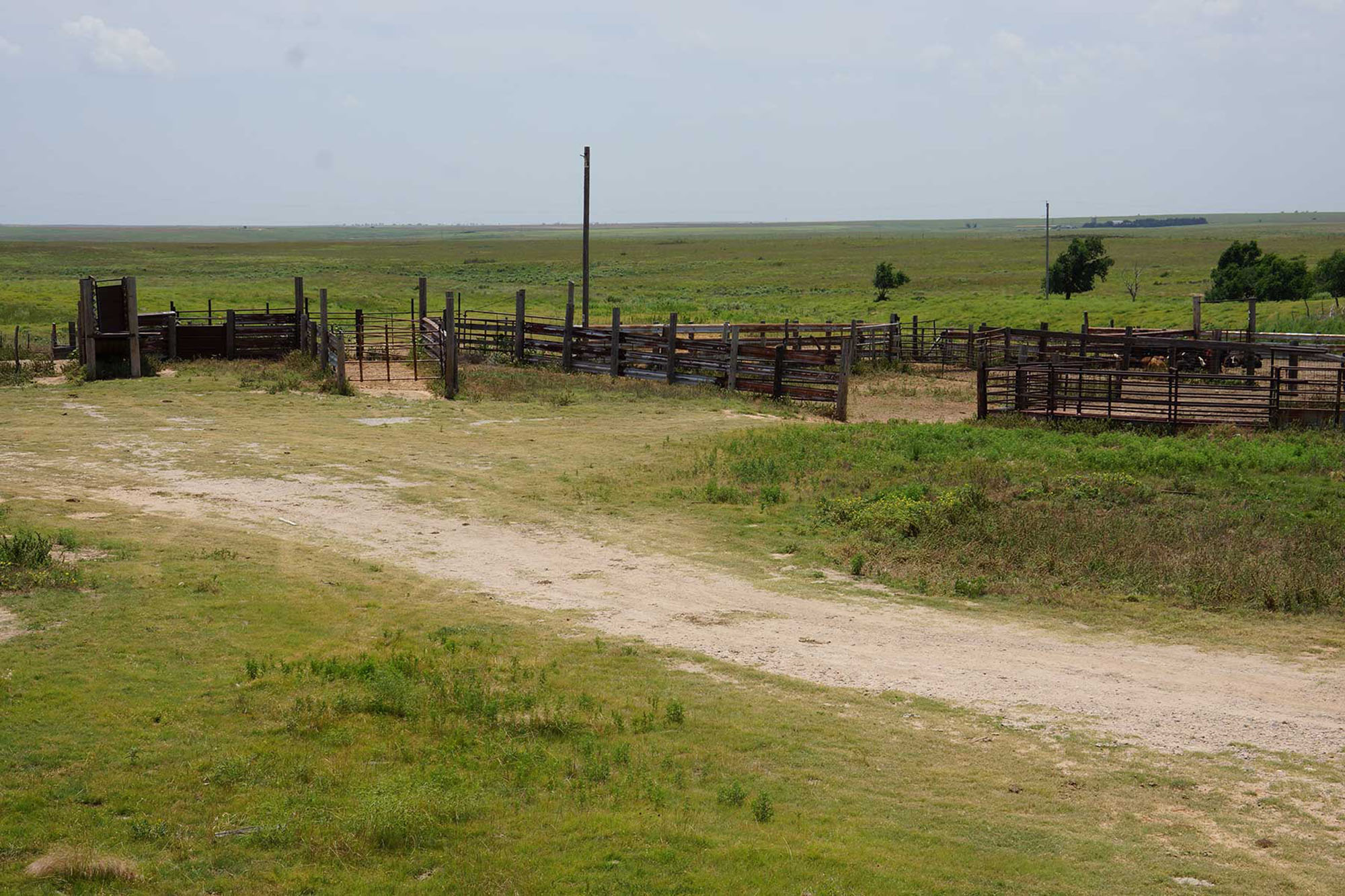 9,078 Acres in Kansas & Oklahoma property picture 6 of 14