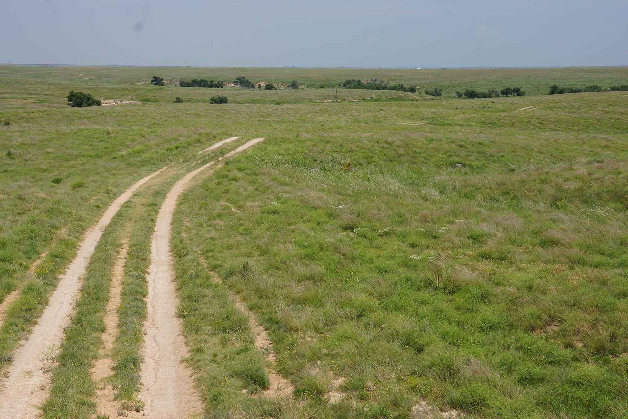 9,078 Acres in Kansas & Oklahoma property picture 5 of 14