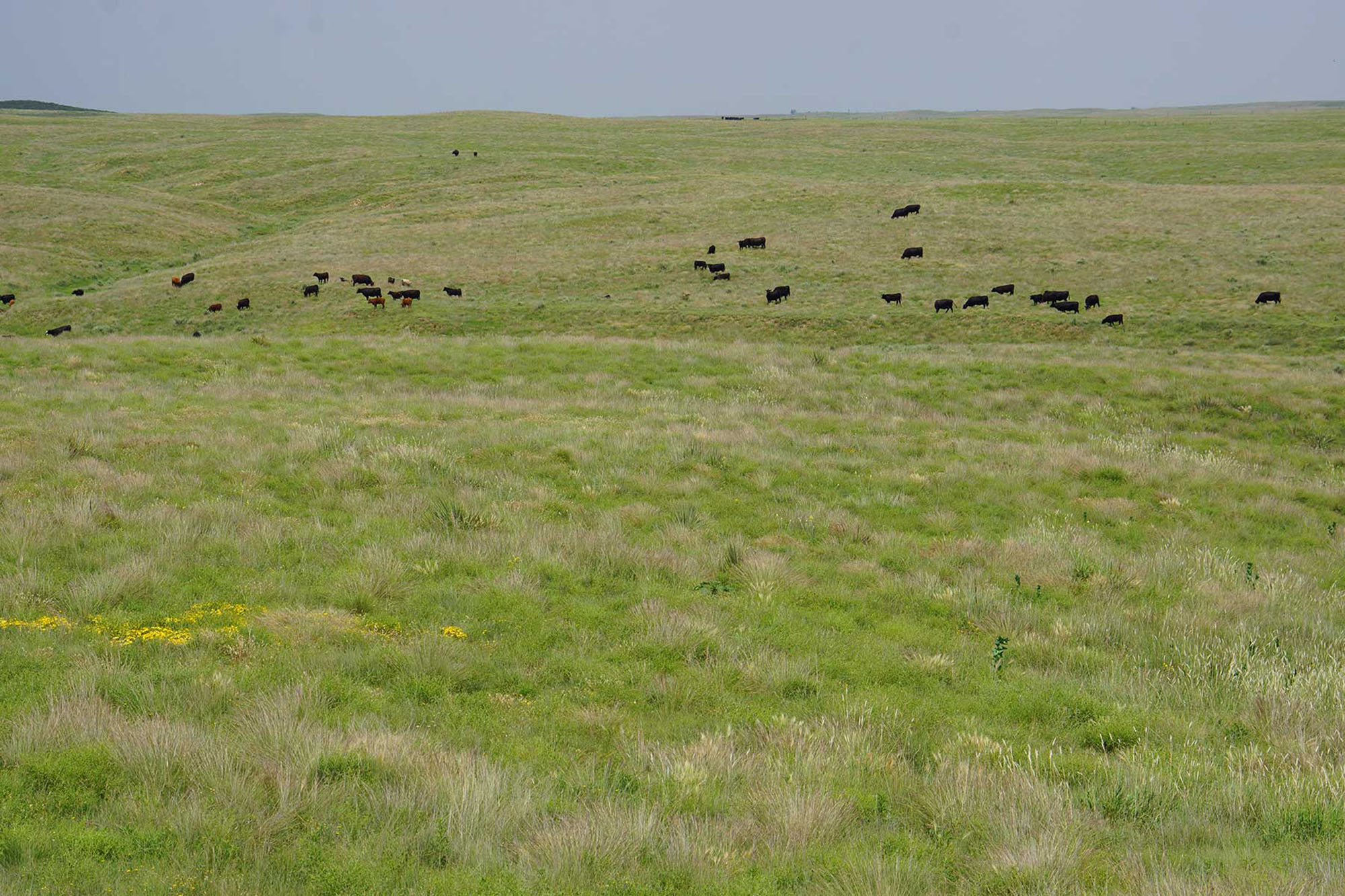 9,078 Acres in Kansas & Oklahoma property picture 9 of 14