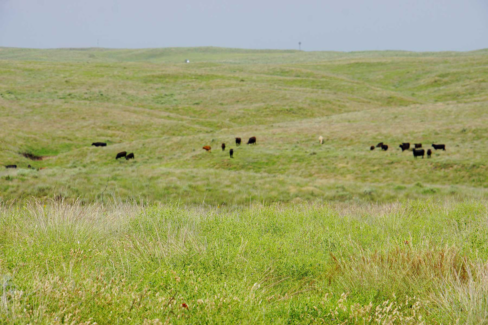 9,078 Acres in Kansas & Oklahoma property picture 8 of 14