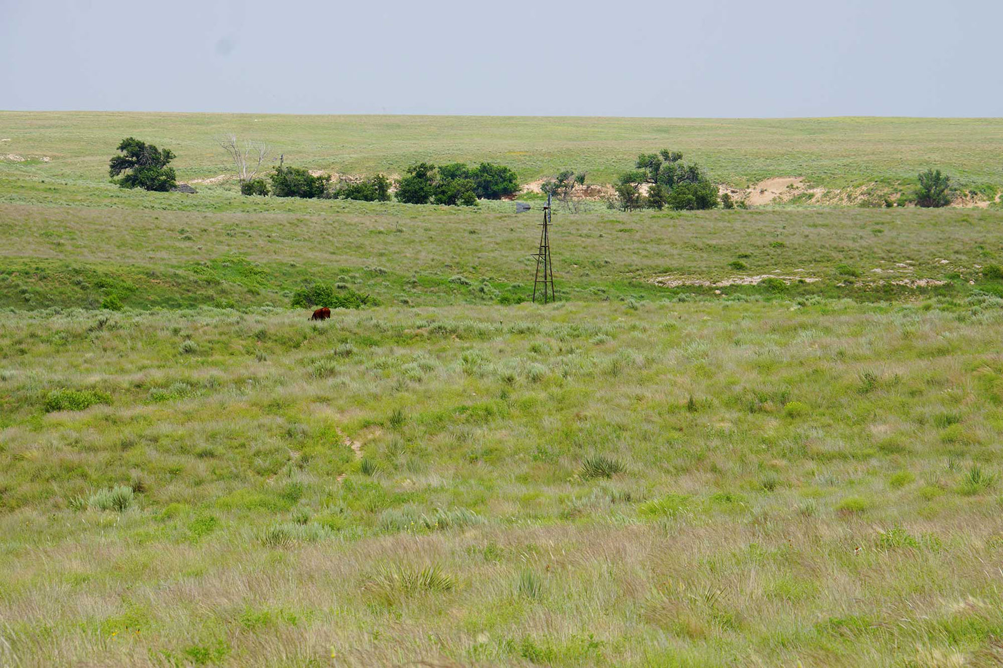 9,078 Acres in Kansas & Oklahoma property picture 3 of 14