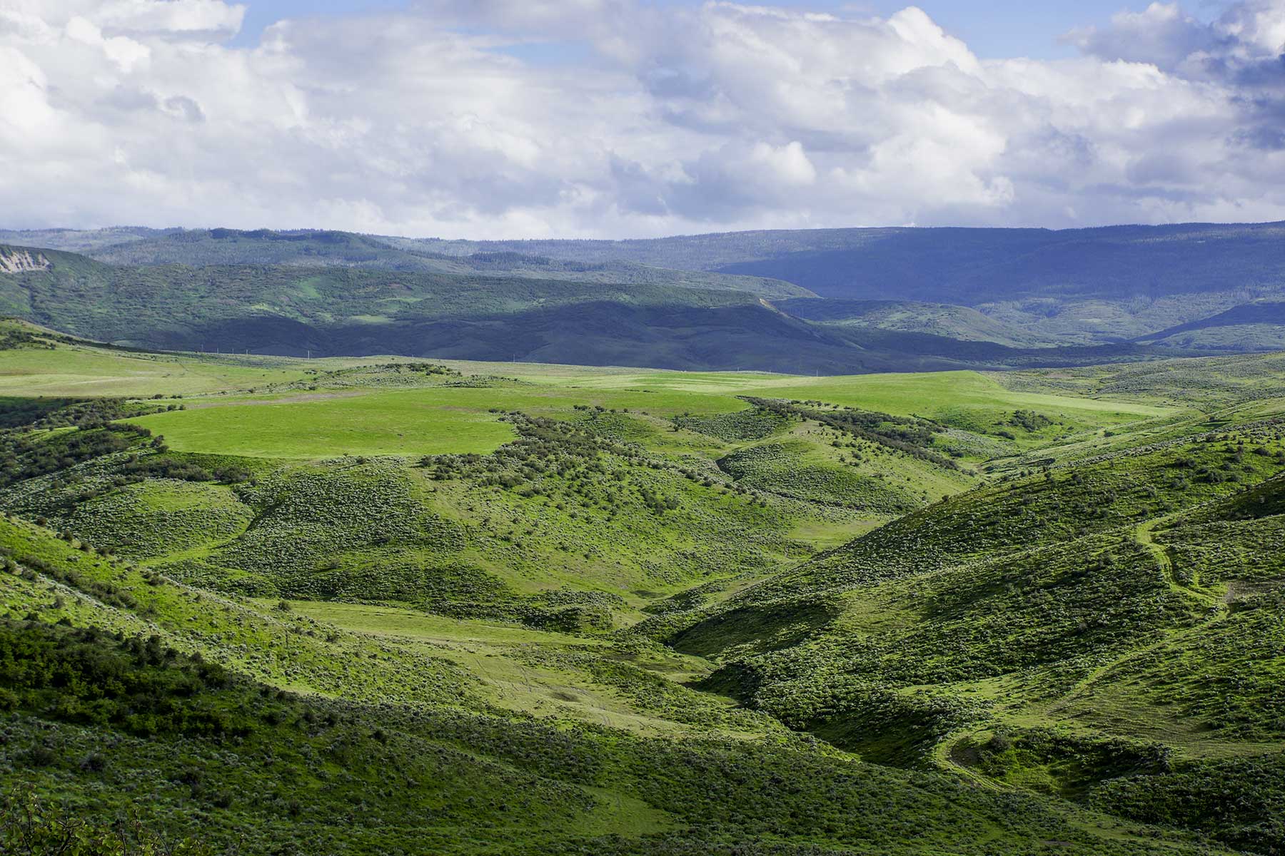 Oak Meadows Wildlife Ranch property picture 2 of 16