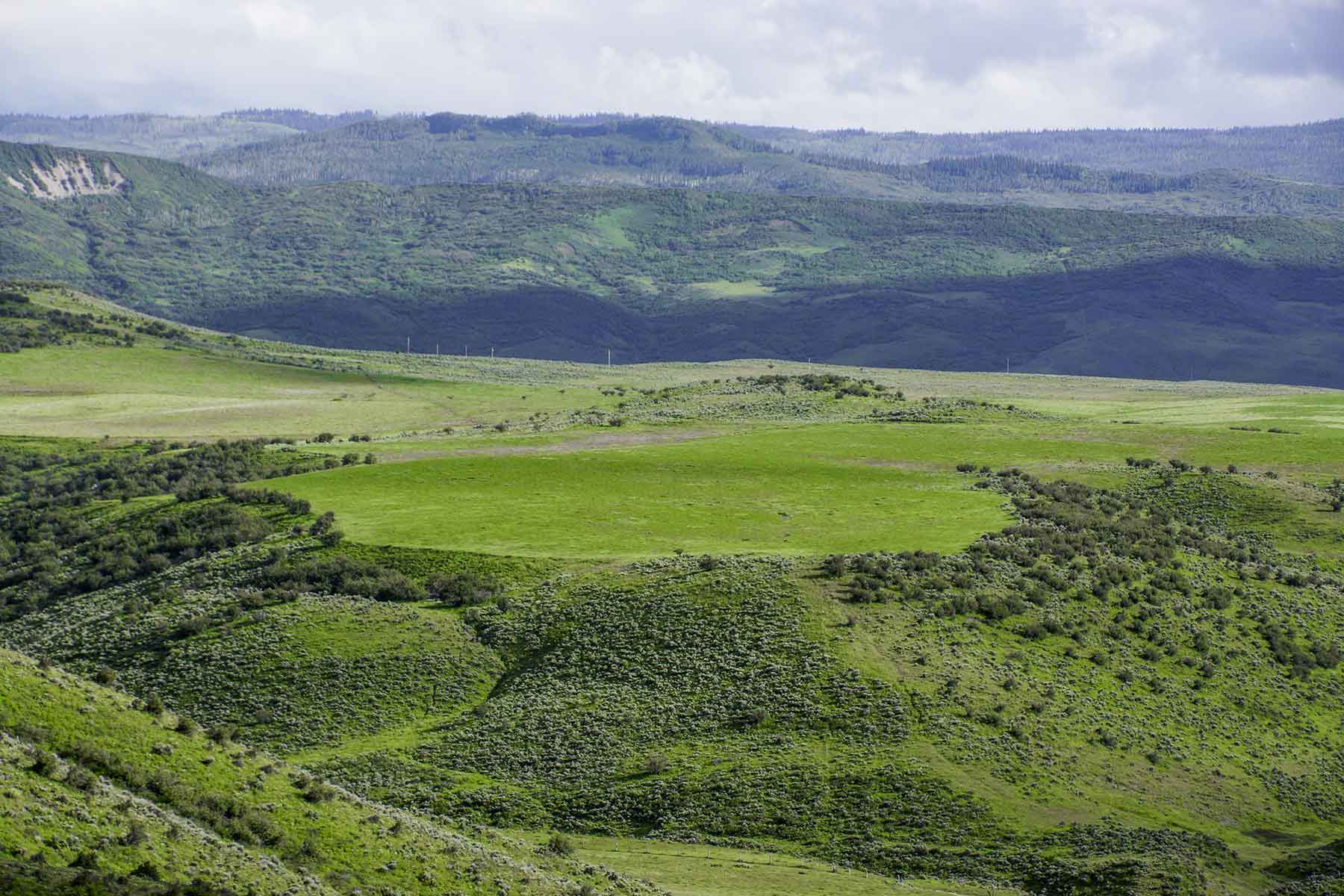 Oak Meadows Wildlife Ranch property picture 3 of 16