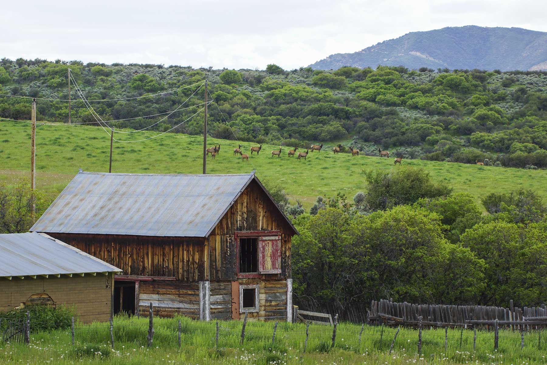 Oak Meadows Wildlife Ranch property picture 10 of 16