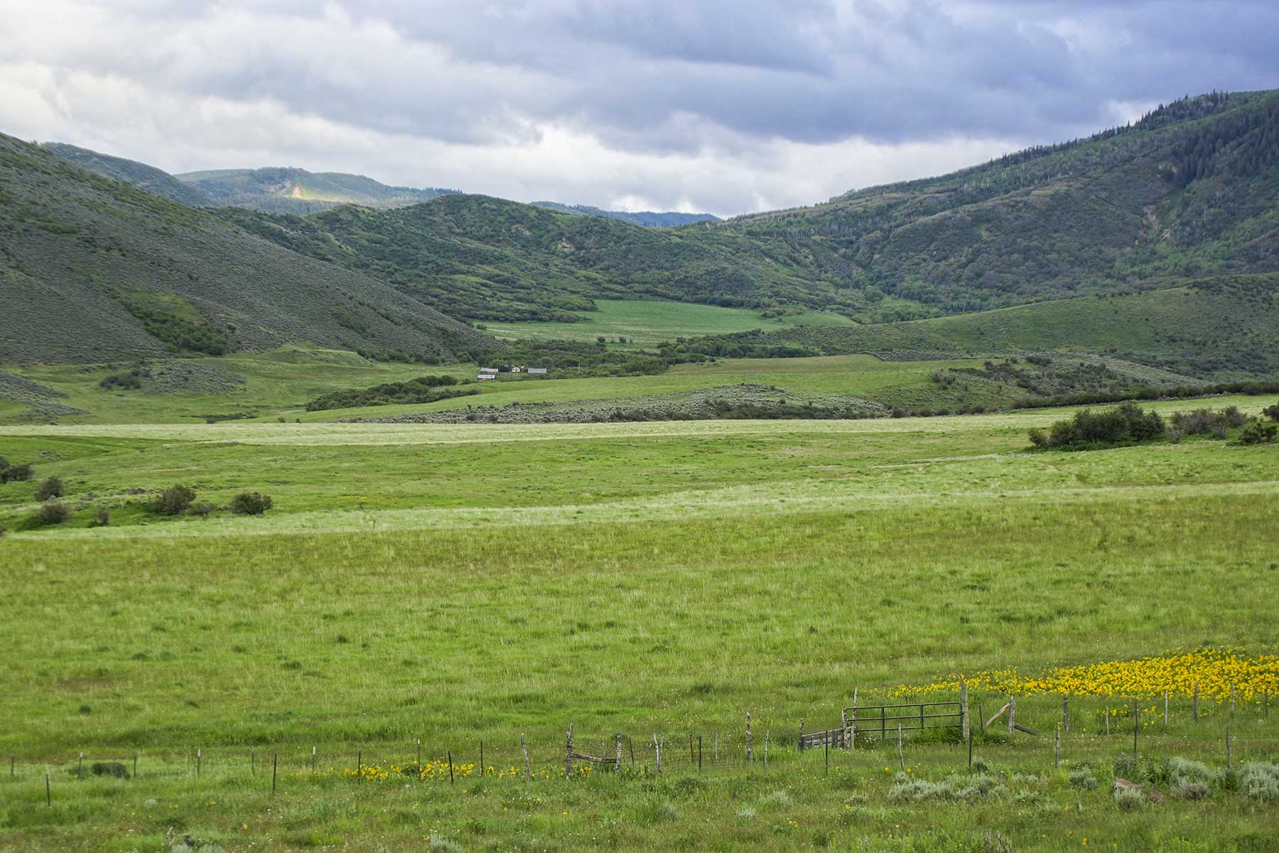 Oak Meadows Wildlife Ranch property picture 12 of 16