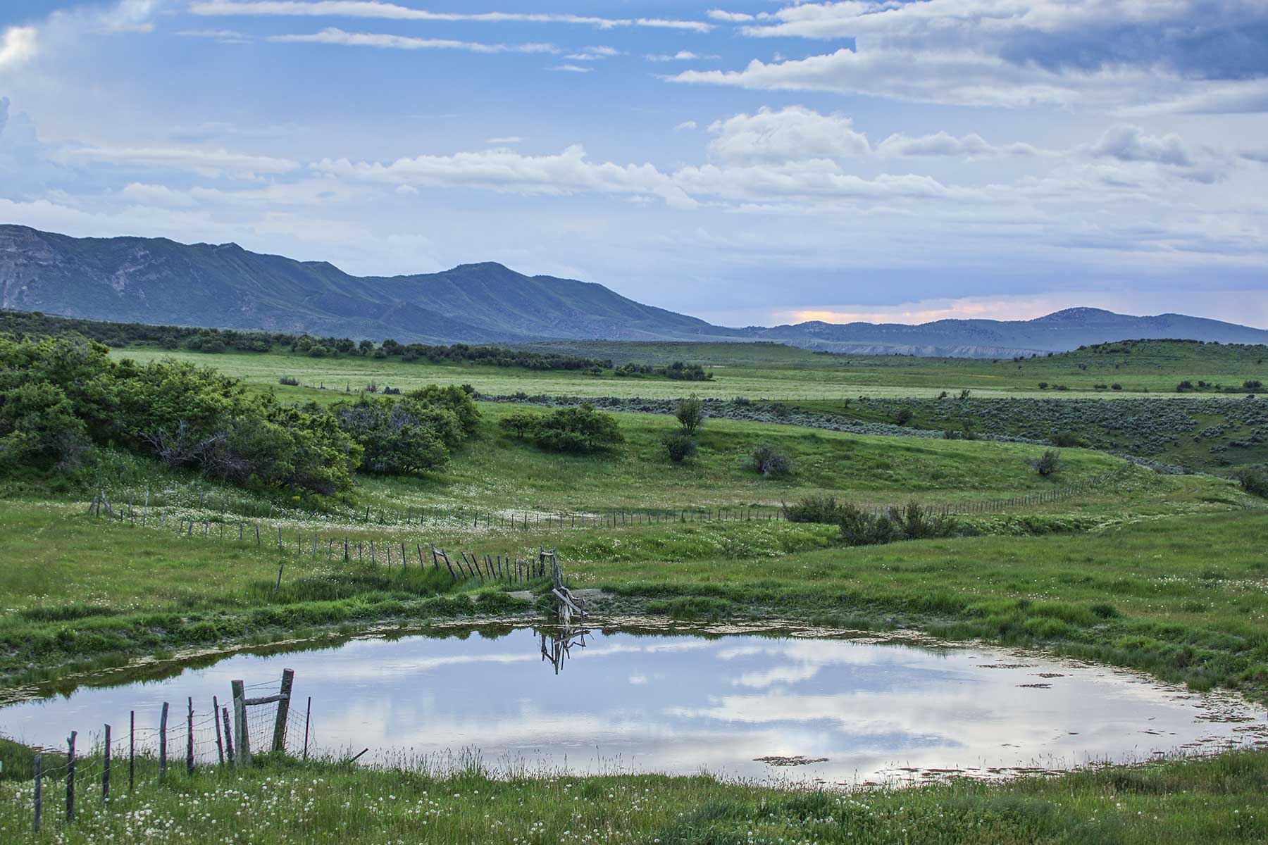 Oak Meadows Wildlife Ranch property picture 15 of 16