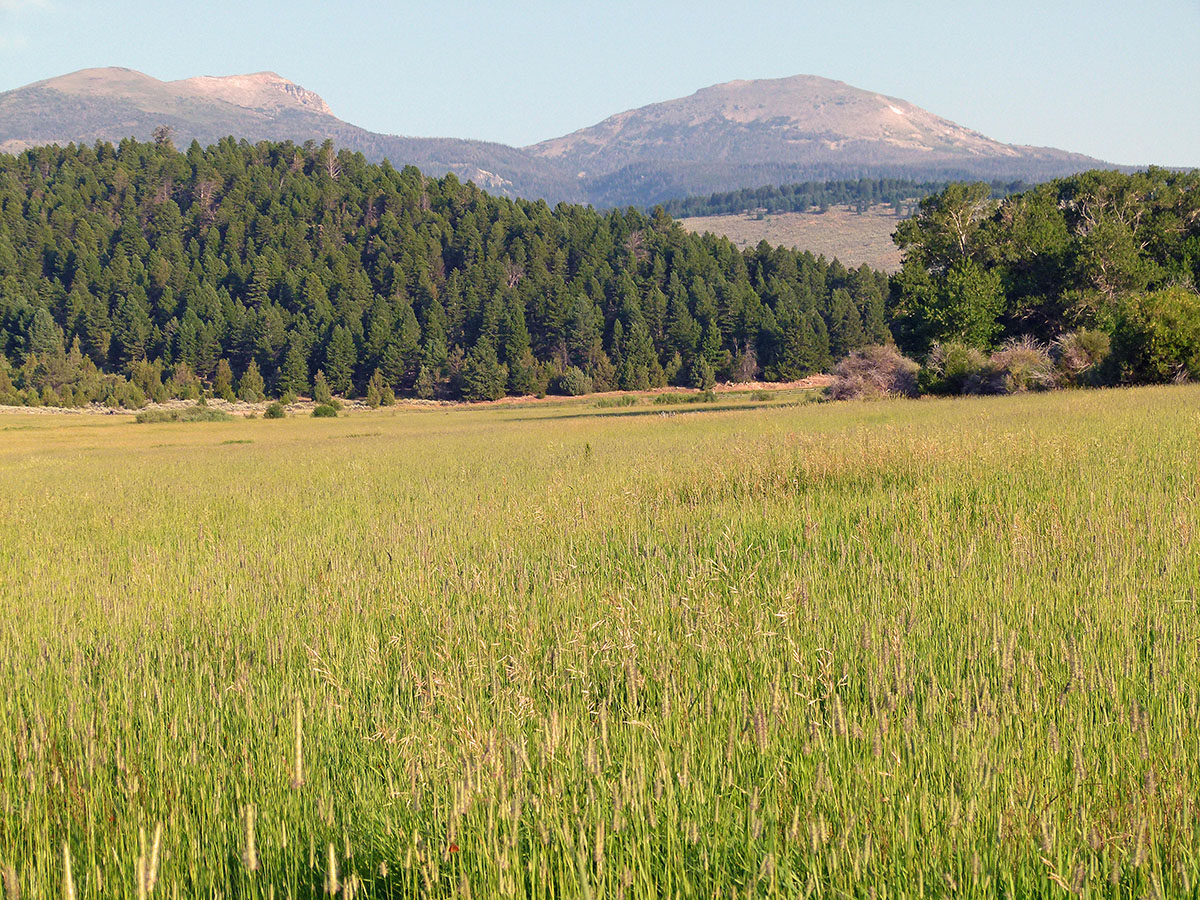 Ramshorn Ranch property picture 26 of 27