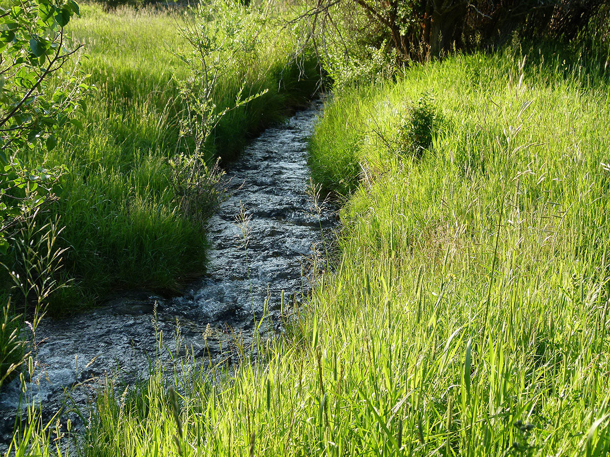 Ramshorn Ranch property picture 23 of 27
