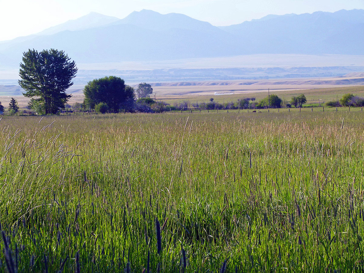 Ramshorn Ranch property picture 22 of 27