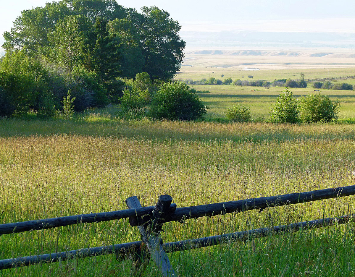 Ramshorn Ranch property picture 19 of 27
