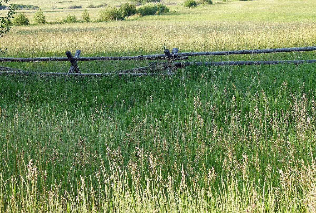 Ramshorn Ranch property picture 18 of 27