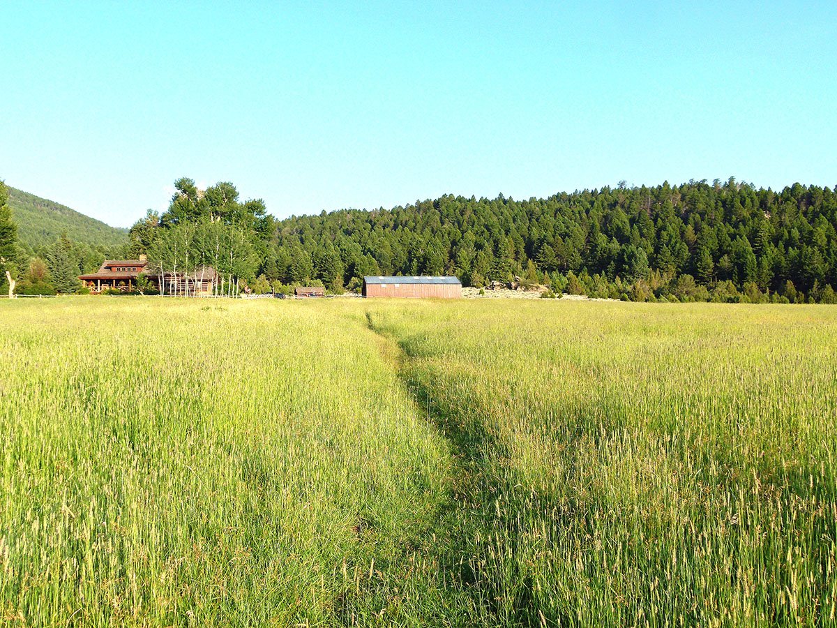 Ramshorn Ranch property picture 12 of 27