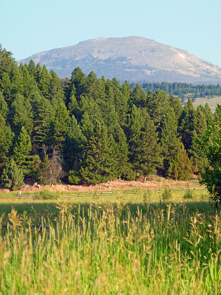 Ramshorn Ranch property picture 11 of 27