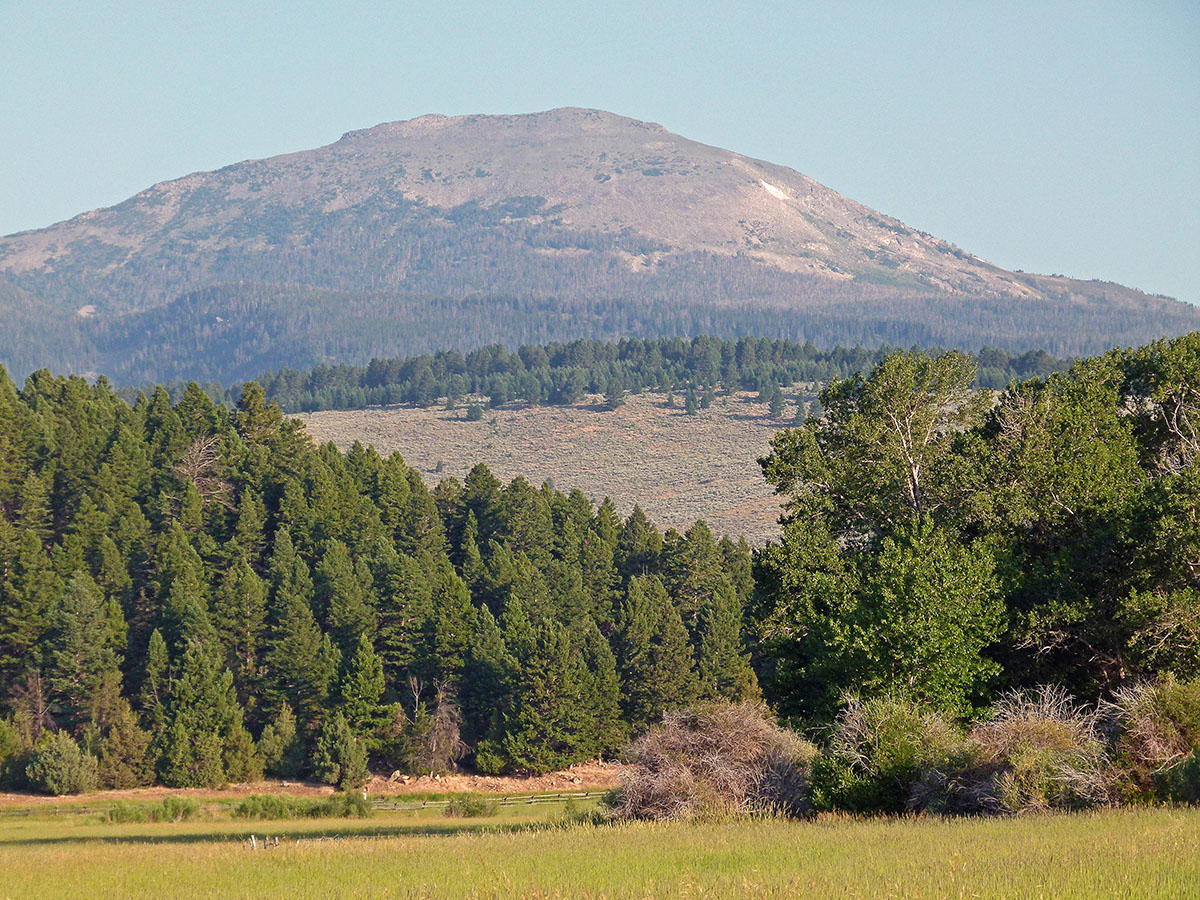Ramshorn Ranch property picture 10 of 27