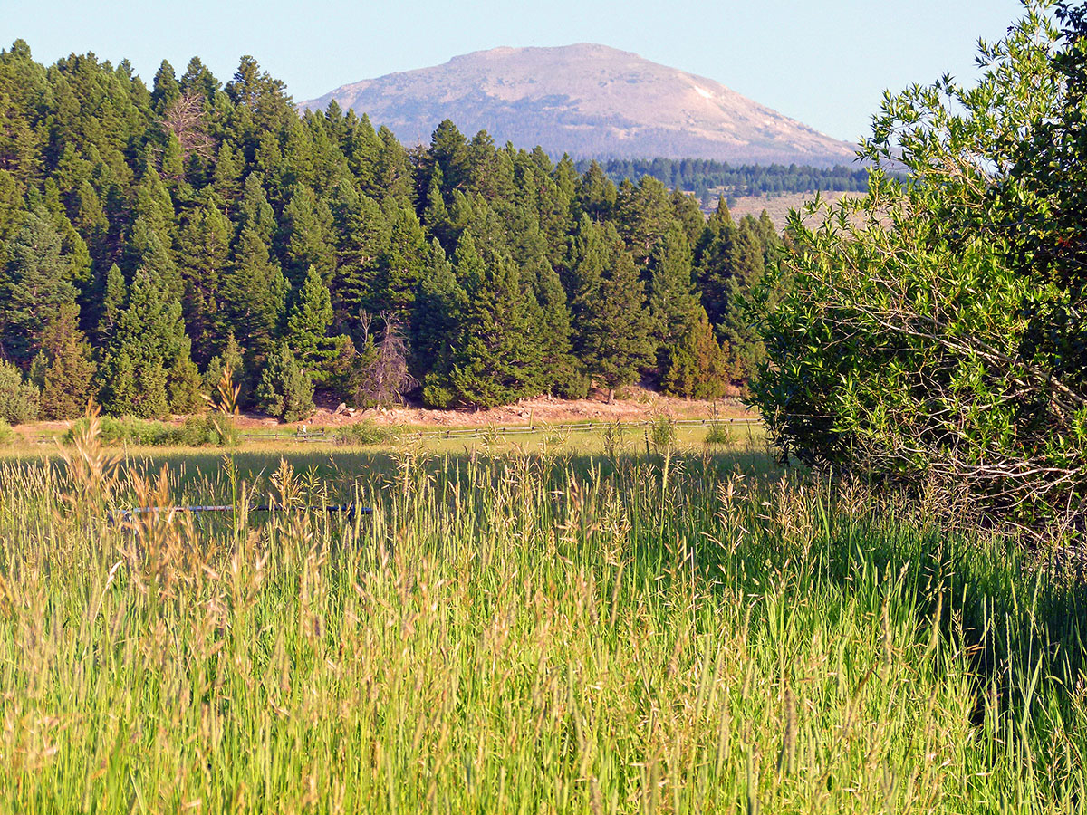 Ramshorn Ranch property picture 9 of 27