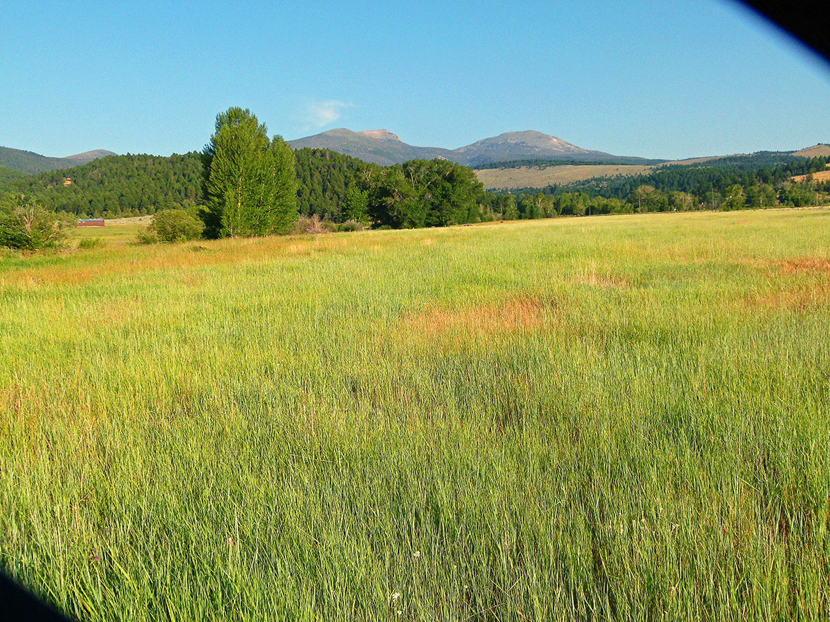Ramshorn Ranch property picture 4 of 27