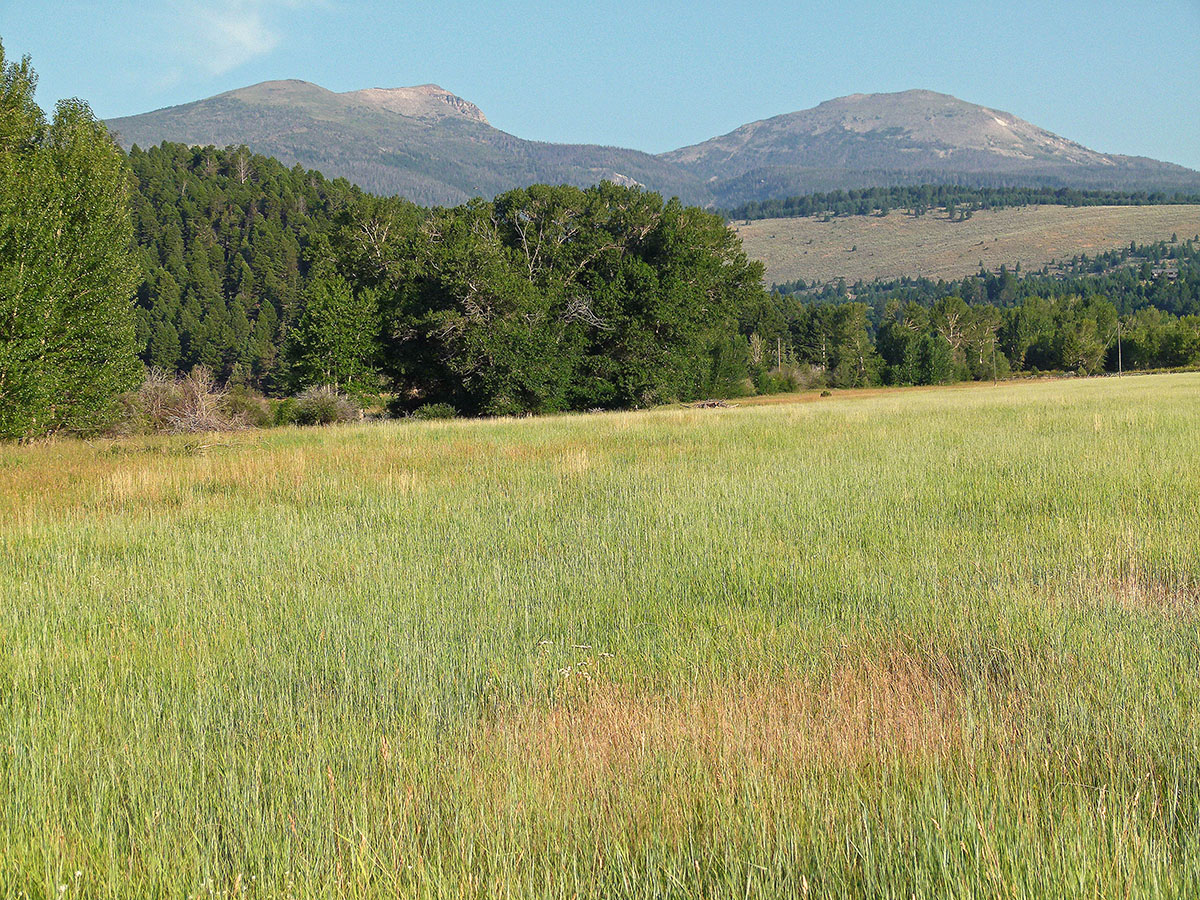 Ramshorn Ranch property picture 3 of 27