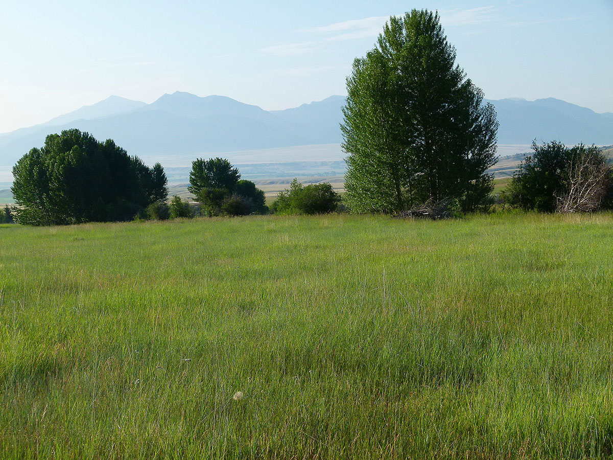 Ramshorn Ranch property picture 2 of 27