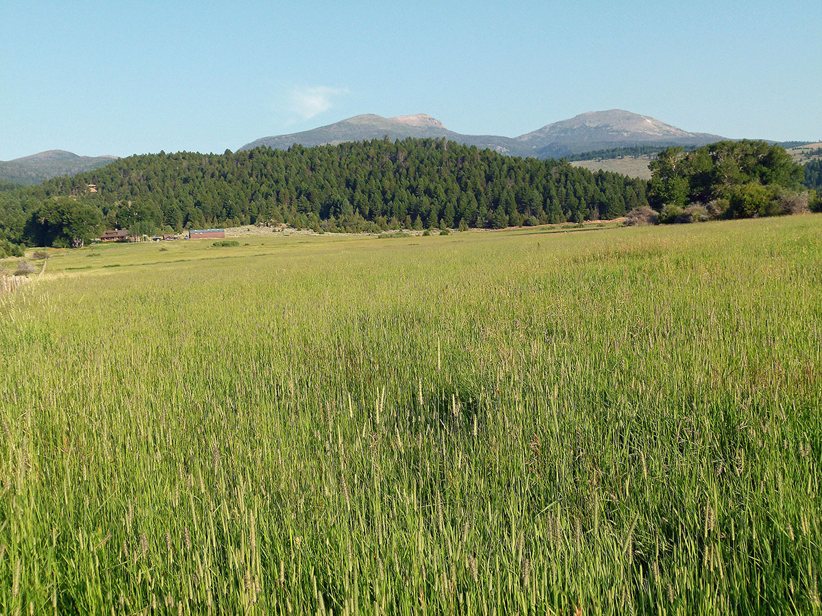 Ramshorn Ranch property picture 27 of 27